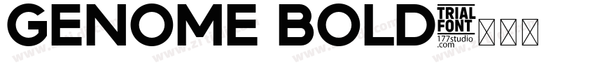 Genome Bold字体转换